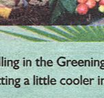 Article: Townsville City Council - City Update, December 2003